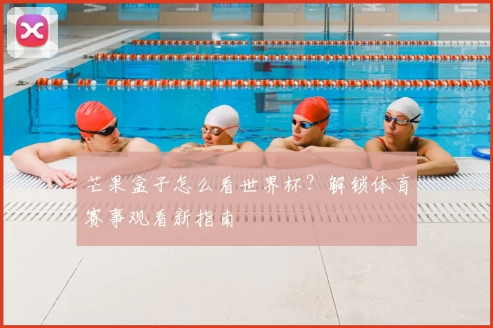 芒果盒子怎么看世界杯？解锁体育赛事观看新指南